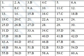 Gợi ý đáp án đề thi môn Vật lý khối A, A1 2013