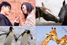 Xôn xao bộ ảnh “Đồng tính - 10 điều muốn nói“