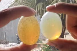 Sự thật về giếng Thánh và những viên ngọc Phật Trùm