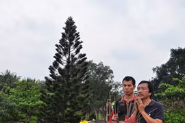 Lễ Phật hay “bổ củi“?