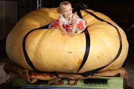 Thế giới trong tuần qua hình ảnh