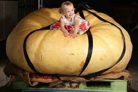 Thế giới trong tuần qua hình ảnh