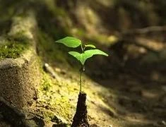 Nâng niu sự sống để không hối tiếc, đau thương