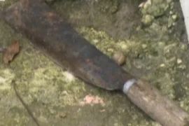 Bàng hoàng bé gái 12 tuổi giết em họ 2 tuổi