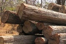 Tổng Cục an ninh xử lý sai phạm ở VQG Yok Đôn