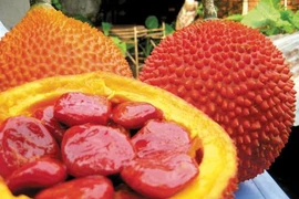 Tìm hiểu loại thực phẩm “siêu dinh dưỡng”