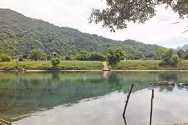 Phong Nha-Kẻ Bàng rúng động tin trúng trầm 100 tỷ