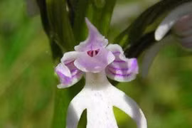 Chuyện trong nhà, ngoài ngõ (P2)