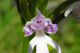 Chuyện trong nhà, ngoài ngõ (P2)