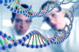 Tương quan khó tin giữa vẻ ngoài và bệnh tật 