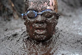 Ngập ngụa trong bùn chống ung thư