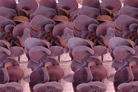 Những món ẩm thực hóa giải nhiễm độc chì