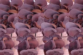 Những món ẩm thực hóa giải nhiễm độc chì