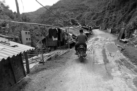 Tù tội, HIV và những cái chết tức tưởi