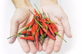 Kỳ lạ ớt giảm đau và gừng chữa... đau bụng kinh