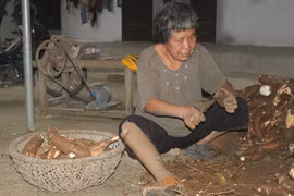 Những mảnh đời bị... rụng