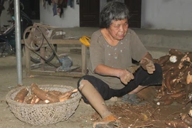 Những mảnh đời bị... rụng