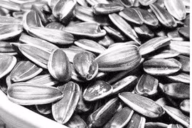 Sự thật hạt hướng dương có chất gây hại não