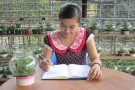 Bình cây sinh thái tiện dụng, siêu rẻ ở Việt Nam