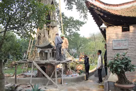 Vén màn bí mật “thần xà” nhập đòi cúng bò ở Hà Nội