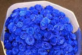 Cách tạo ra hoa hồng xanh ở Việt Nam