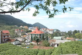 Tam Đảo có gì mà... chơi?