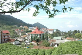 Tam Đảo có gì mà... chơi?