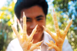 Vì sao người Dao không cúng tổ tiên bằng gà “chín cựa“?