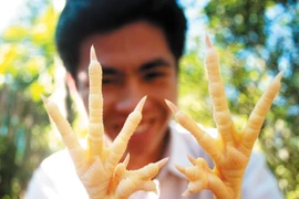 Vì sao người Dao không cúng tổ tiên bằng gà “chín cựa“?