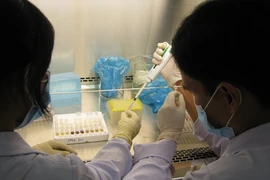 “Tận diệt” mầm mống virus heo tai xanh sau 4 giờ