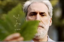 Độc: Lá cây sản xuất điện cho... cả thế giới