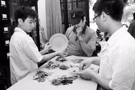 Những bài thuốc cực hay trị tiểu đường 