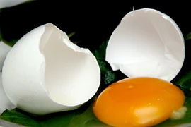 Lý giải trứng vịt màu đen kỳ lạ ở Bắc Kạn