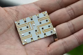 Con người học cá mù để điều hướng phương tiện