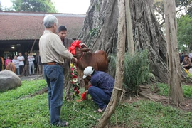 Vụ “thần xà” nhập: Chưa thể lý giải thì không nên bác bỏ