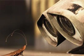 Con người sẽ diệt vong trước loài gián?