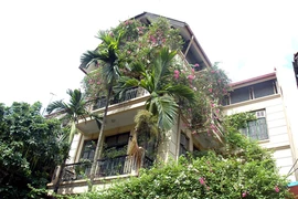 Trồng cây leo phủ tường chống nóng