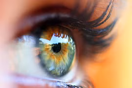 Những bí mật của đôi mắt đẹp