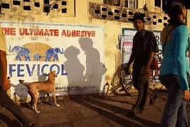 Những cái bóng “nhạy cảm”, hài hước