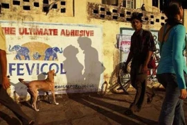 Những cái bóng “nhạy cảm”, hài hước