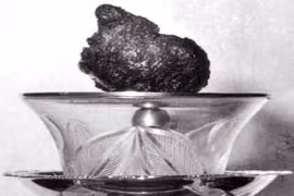 Sẽ có Bảo tháp tôn thờ trái tim Bồ-tát Quảng Đức