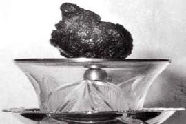 Sẽ có Bảo tháp tôn thờ trái tim Bồ-tát Quảng Đức