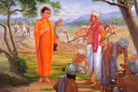 Căn nghiệp của con người 