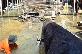 Tàu đắm 700 tuổi là tàu Đại Việt thời Trần 