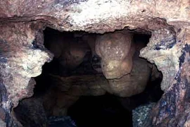 Sự sống kỳ bí quanh những ngôi mộ tập thể ở VN 