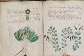 Cuốn sách bí ẩn nhất thế giới không phải trò bịp? 