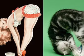 Khoảnh khắc hiếm có của mèo tạo dáng giống người như đúc(1)