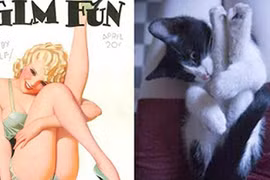 Khoảnh khắc hiếm có của mèo tạo dáng giống người như đúc(2)