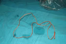 Bắt hung thủ liều lĩnh chích điện cướp tài sản