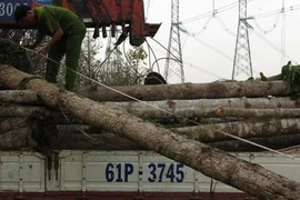 Mất điện toàn miền Nam: Thêm 2 đối tượng liên quan